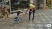 Conocemos a "Chip", el perro robot de Albacete