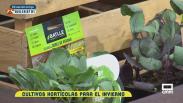 Huerto de invierno