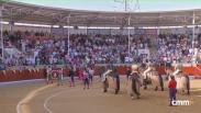 Novillada desde Villaseca de la Sagra 'Alfarero de Oro' (05/09/2025)
