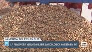 La almendra vuelve a subir, la ecológica ya está en 6 € - 08/09/2025