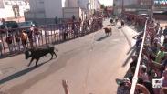 Encierros taurinos en Mocejón