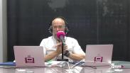 Conocemos la procedencia del ibis eremita rescatado en Albacete