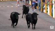Broche de oro con el octavo encierro de Villaseca de la Sagra