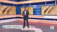 Preparan la sementera con más demanda de certificada - 15/09/2025