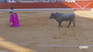 Alfarero de Oro: novillada desde Villaseca de la Sagra (09/09/2025)