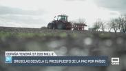 Bruselas desvela el presupuesto de la PAC por países - 18/09/2025