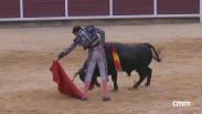 Novillada sin picadores desde Brihuega (29/09/2025)