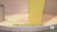 Nueva campaña olivarera - 01/10/2025