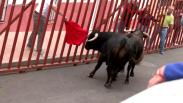 Actividades para todos los gustos en las fiestas de Olías del Rey