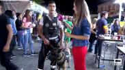 Perros entrenados para resolver altercados y peleas