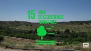 Zorita de los Canes, 15º objetivo de desarrollo sostenible: vida de ecosistemas terrestres