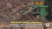 Ampliado el plazo de arranque de viñedo hasta el 31 de octubre - 13/10/2025
