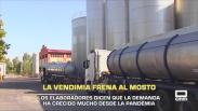 La vendimia frena al mosto - 14/10/2025