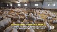 Los nuevos presupuestos de la Junta refuerzan la sanidad animal - 24/10/2025