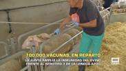 La Junta amplía la inmunidad del ovino - 31/10/2025