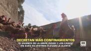 Decretan más confinamientos por el avance de la gripe aviar - 05/11/2025