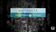 RECONECTA, GUARDIANES DEL BOSQUE