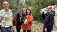 Visita a la reserva de burros de Villatoya