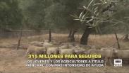 315 millones para seguros - 19/11/2025