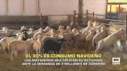 Los mataderos multiplican su actividad. El 30 % del consumo es navideño - 25/11/2025