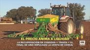 La recuperación de cebadas y trigos impulsa la venta de cereal - 26/11/2025