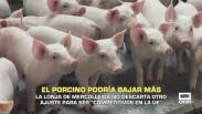El porcino podría bajar más- 10/12/2025