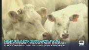Agenda 2000, la gran reforma agraria del siglo - 02/01/2026