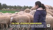 Faltan jóvenes ganaderos. La Escuela de Pastores de C-LM tiene una bolsa de trabajo, pero son pocos - 07/01/2026