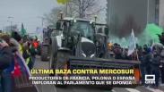 Productores de Francia o España imploran al Parlamento que se oponga a Mercosur - 20/01/2026