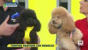 Terapias asistidas con animales