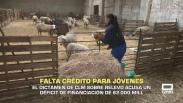 Falta crédito para jóvenes - 21/04/2026