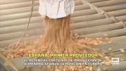 España es ya el primer proveedor europeo de almendra- 29/04/2026