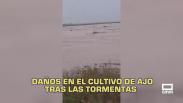 Castilla-La Mancha fin de semana a las 2 09/05/2026