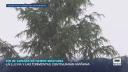 Previsión del tiempo - 09/05/2026