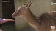 Visitamos el bioparque La Rocha en Alborea