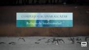 Complejo lagunar de Alcázar, refugio de biodiversidad
