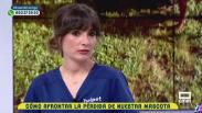 La muerte de nuestras mascotas