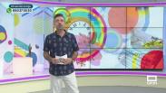 Estando Contigo (15/05/2026)