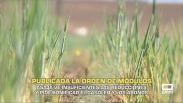 ASAJA pide bonificar el gasóleo y los abonos - 18/05/2026