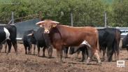 Conocemos la finca La Morera en Fuentelencina