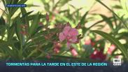 Previsión del tiempo - 09/06/2026