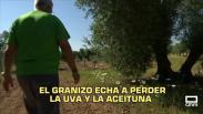 El día en Titulares. 16/06/2026
