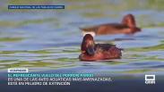Previsión del tiempo - 19/06/2026