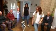 Terapias caninas para mejorar la calidad de vida de nuestros mayores