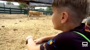 Campamento taurino en Yuncos