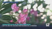 Previsión del tiempo - 01/07/2026