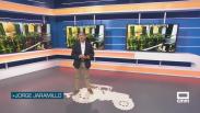 La baza de los vinos ecológicos - 01/07/2026