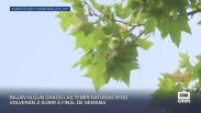 Previsión del tiempo - 02/07/2026