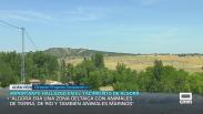 Castilla-La Mancha a las 3 - 06/07/2026