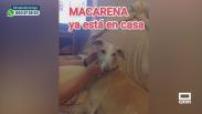 La increíble historia de Macarena y Amparanimals